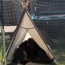 Kids tippee tent Image 2