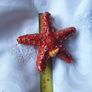 Starfish Ornament Image 8