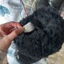 ugg Image 4