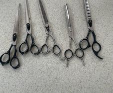 Dog grooming scissors