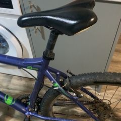 bikes