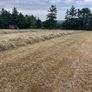 Hay bales Image 3