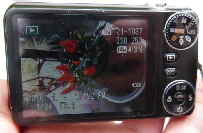 Fujifilm JX250 14MP Digital Camera - 5x Optical Zoom