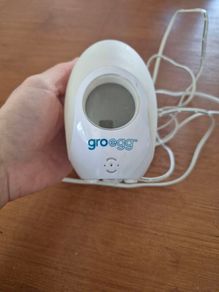 Free egg baby thermometer