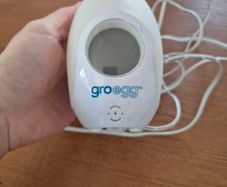 Free egg baby thermometer