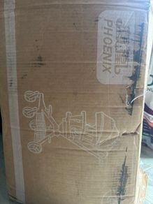 Phoenix push stroller