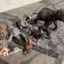 Schleich animals Image 3