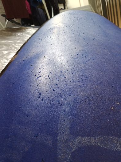 surf