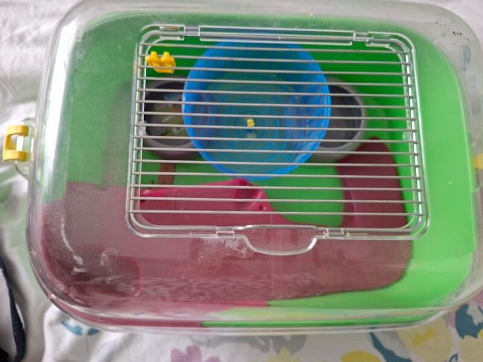 small hamster cage