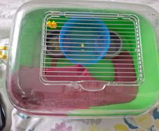 small hamster cage