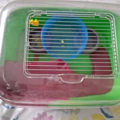 small hamster cage