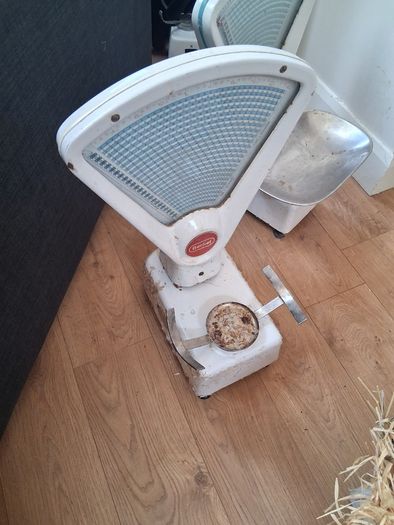 3 Vintage Scales