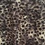 Soft Stretch Jersey Skirt 12 Animal Print Image 4