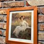 vintage picture price for all 3 Image 2