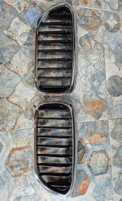 BMW grill