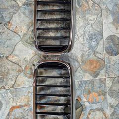 BMW grill