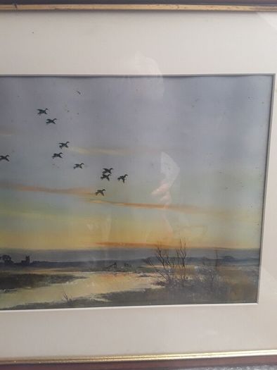 Peter Scott signed print