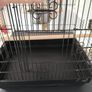 Bird cage Image 8