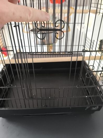 Bird cage