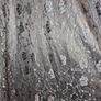 Stunning lace floral maxi dress Image 7