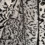 Banana Republic women coat Image 6