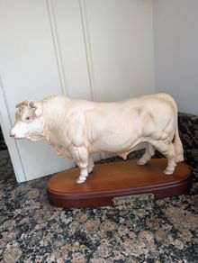 Royal Doulton Charolais Bull