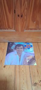 Joe Dolan - More And More - LP - Ritz Records - 1982