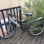 Bike Image 6