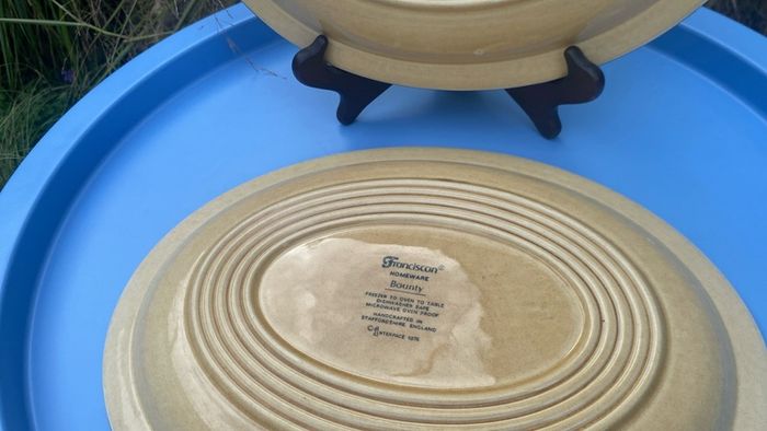 2x plates Franciscan bounty pattern