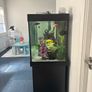 Fish tank Image 4