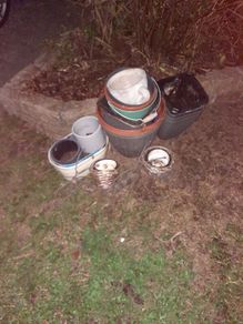 Plant pots