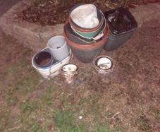 Plant pots