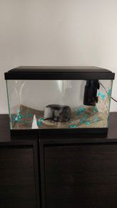 Small fish tank