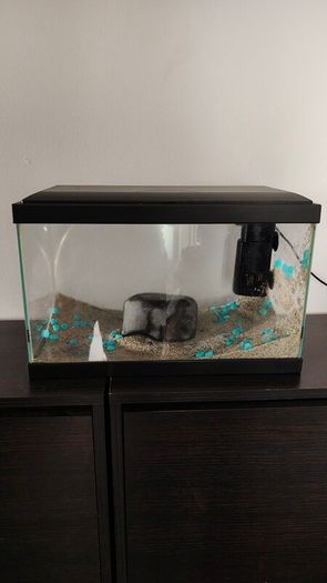 Small fish tank