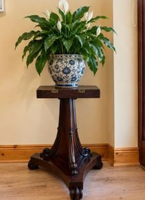 plant stand