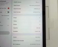 ipad 9th generation 256Gb cellular and WiFi unlocked