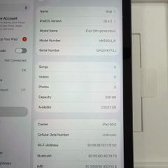 ipad 9th generation 256Gb cellular and WiFi unlocked