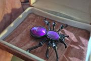 Spider Brooch