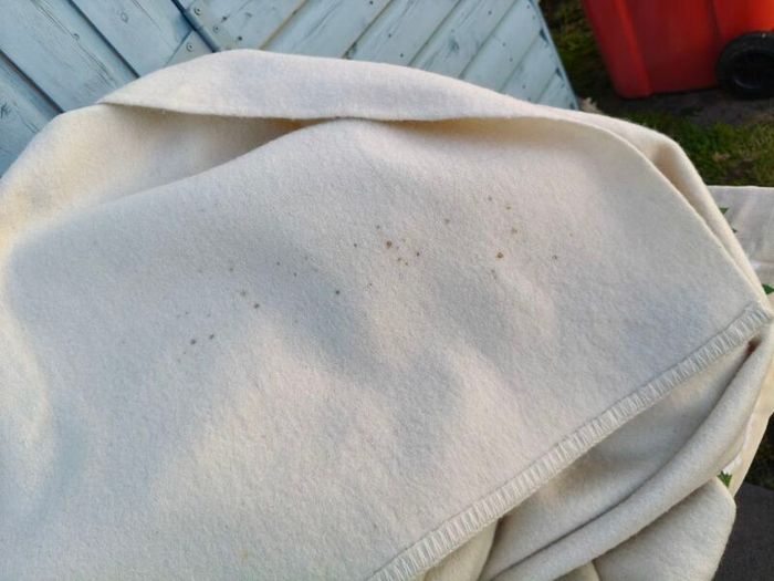 Vintage wool Blanket