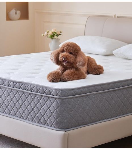 Double Mattress,8.6 Inch Double Bed Mattress with Breathable Foam Soft Fabric and Individually Pocket Spring