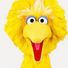big-bird