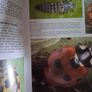 The Organic Handbook 2 / Pests / How to Control them on fruit & vegetables / 2000 Image 6