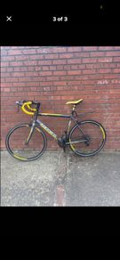 carrera road bike