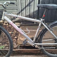 Mountain Bike and Road bike
