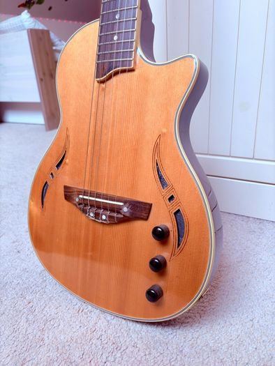 Semi acoustic electric guitar
