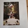 Historic Houses Castles and Gardens 1993 - Great Britain & Ireland (VG Condition) Image 4