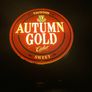 Taunton autumn gold counter light Image 7