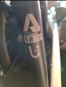 2 ladies bikes