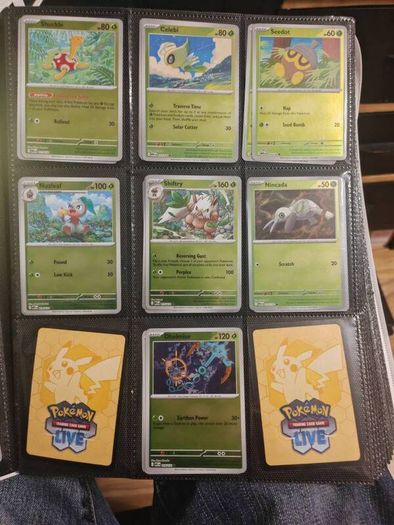 Mega evolution Holo and Rev Holos