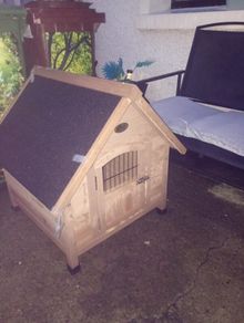 dog box